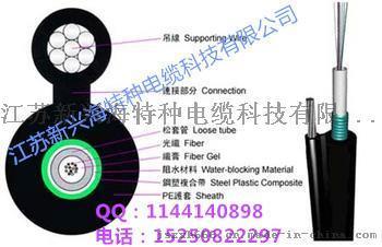 GYXTC8S 8字型自承式光缆，江苏新兴海光缆厂家直销