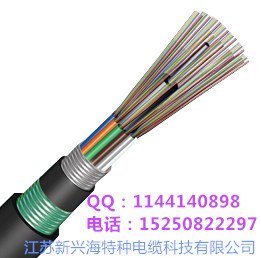 供应重庆市GYTA53铠装光缆，可架空、直埋、穿管，江苏新兴海光缆厂家直销